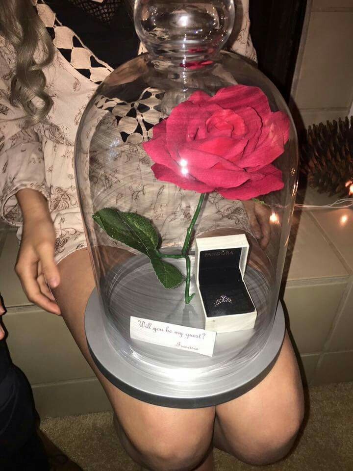 beauty, beauty and the beast and flower