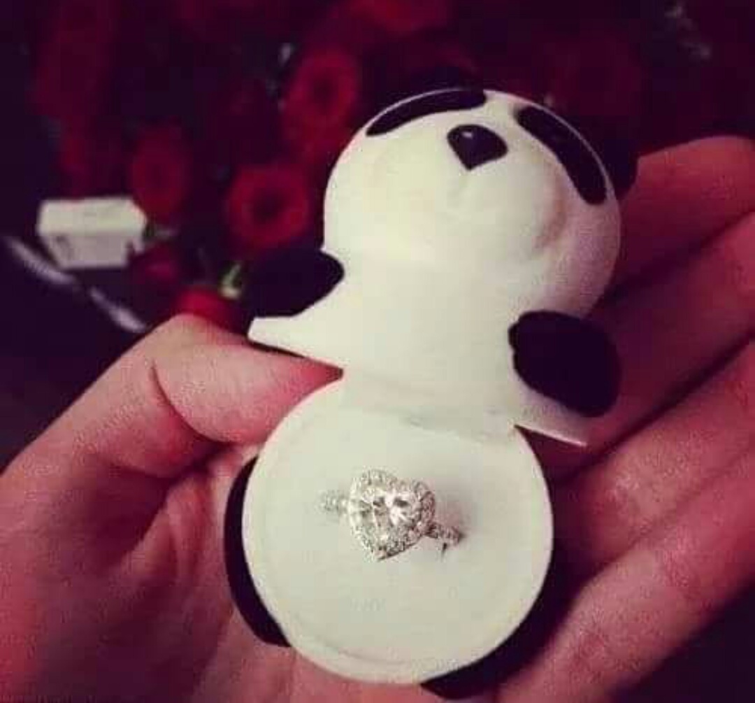 marriage request, willyoumarryme, love and ring