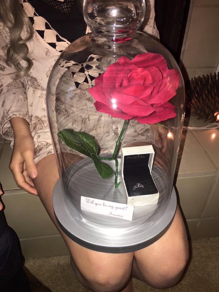 wedding ring, wedding proposal, finace and rose