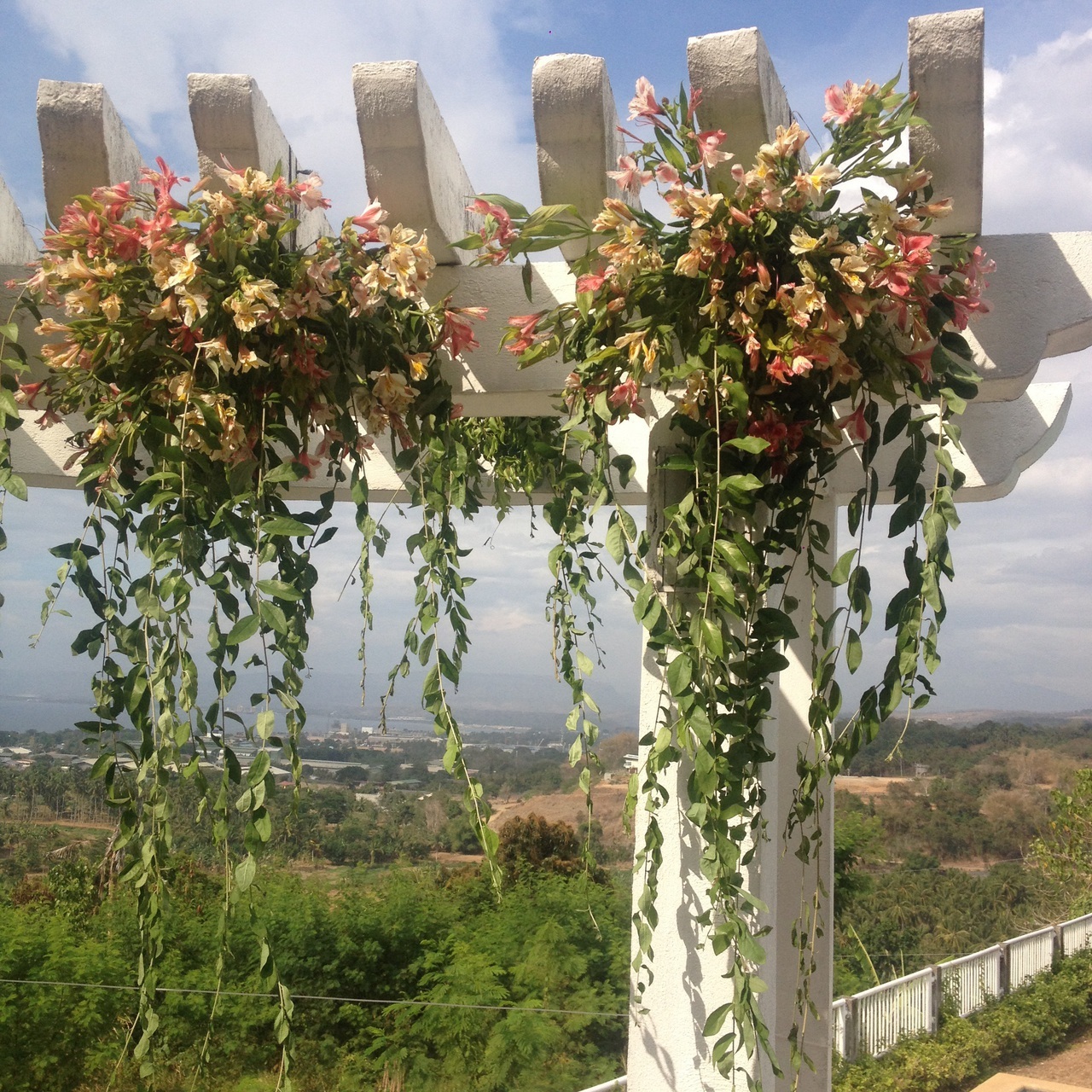 love, garden wedding, city view and flowers