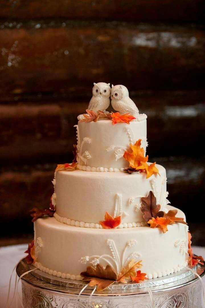 owls, cake, fall leaves and autumn