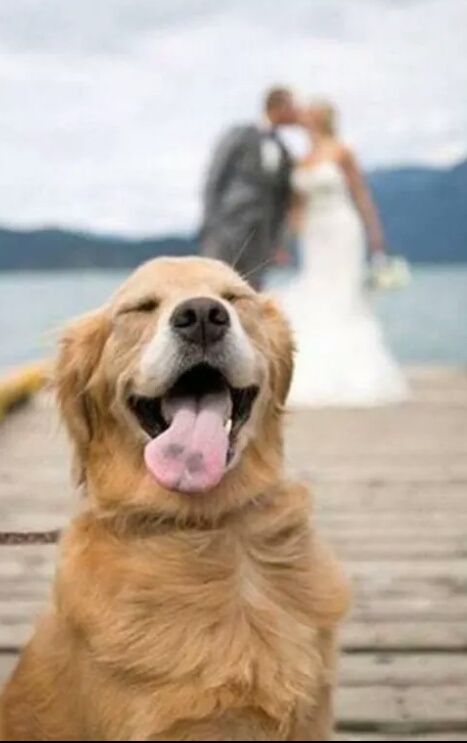beach, cute, friend and love