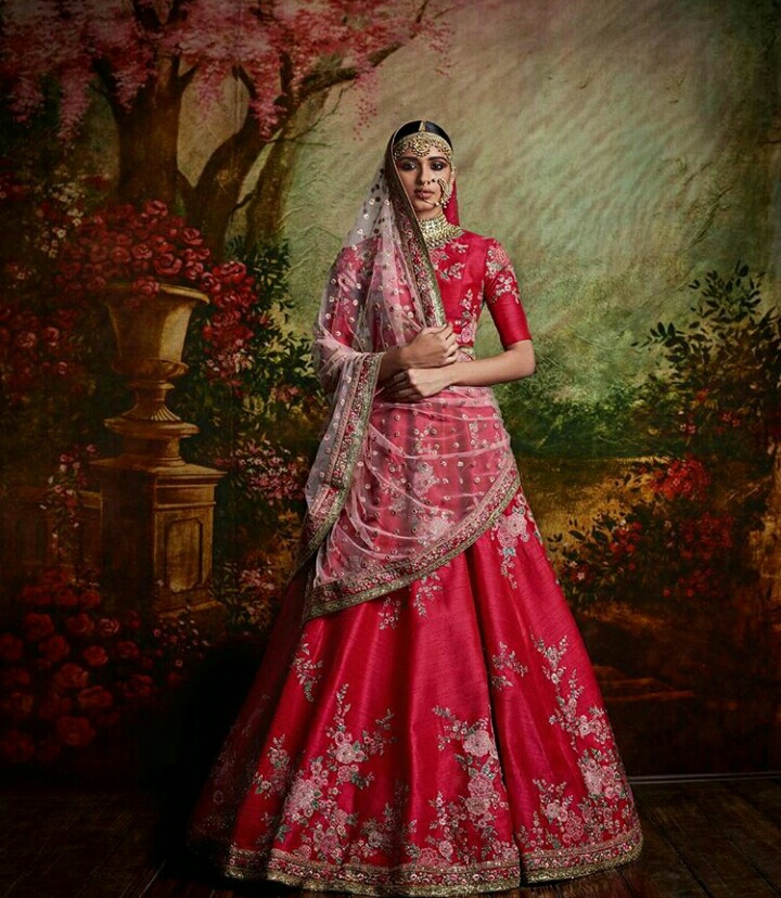 Rani, sabyasachi, embellished and bride