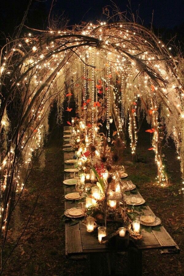 lights, glowing, woods and fairytale