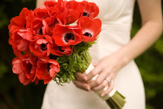 poppies, bouquet and red