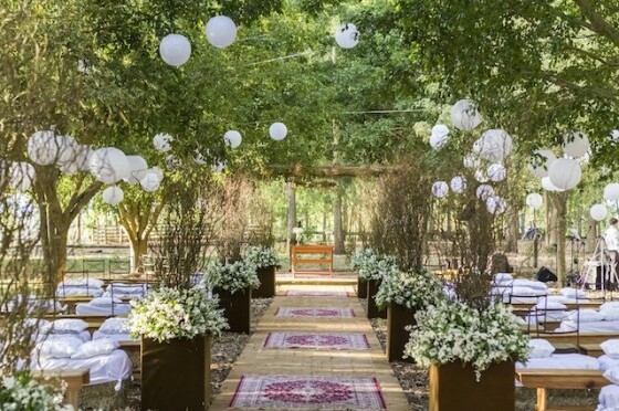 party, flowers and brazil