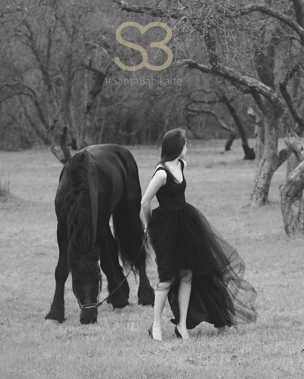 evening dress, Couture, fashion designer and friesian stallion
