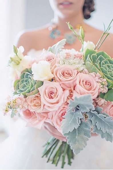 suculentas, ramo and roses