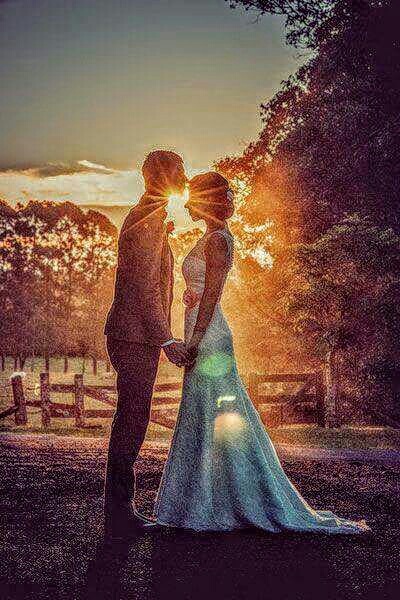 sunshine, sun and love