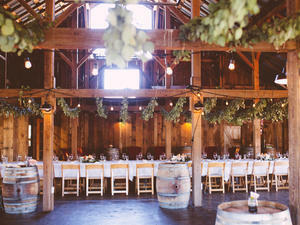 venue, meal and reception