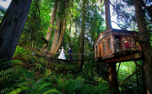 home, travel and wood