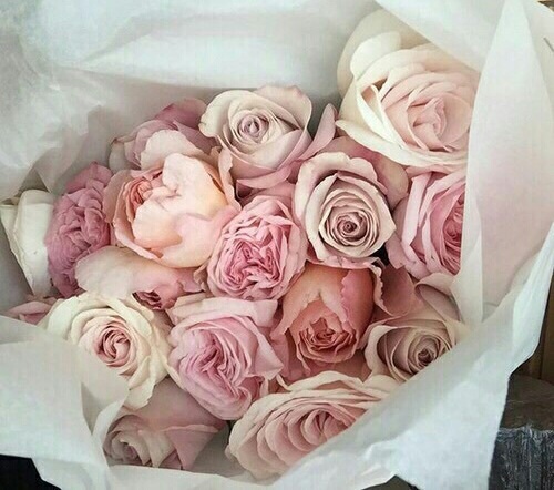 heart, neutrals and girly
