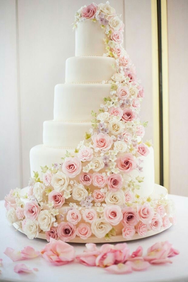 pink, roses, magical and wedding cake