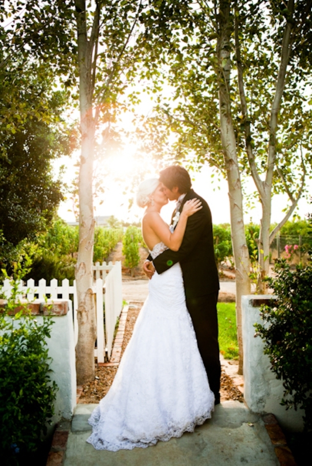 gentleman, sunset, dress and elegance