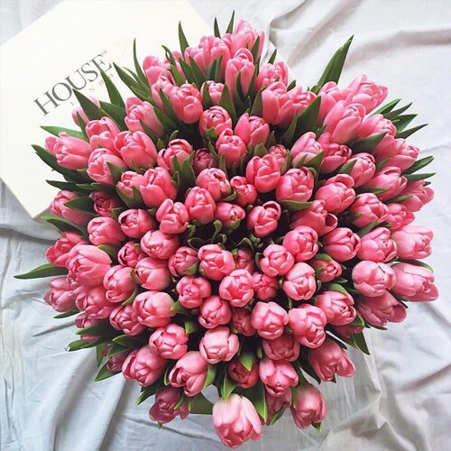 love, interior, cute and pink