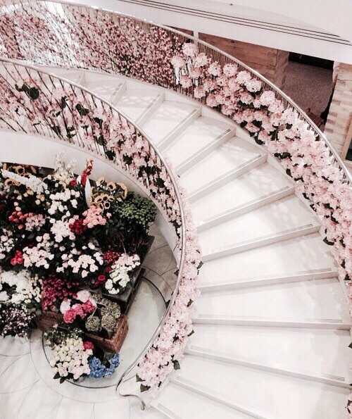 flowers, floral, roses and red