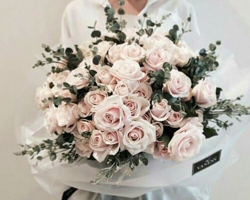 pink, white and pretty