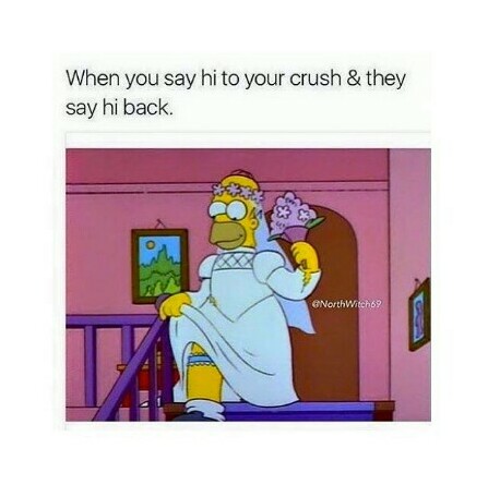 homer simpson, funny and crush