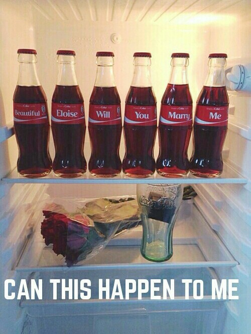 rose, coca cola, propose and fridge