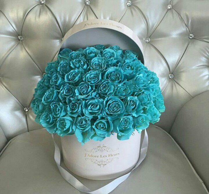 style, color, love and goals