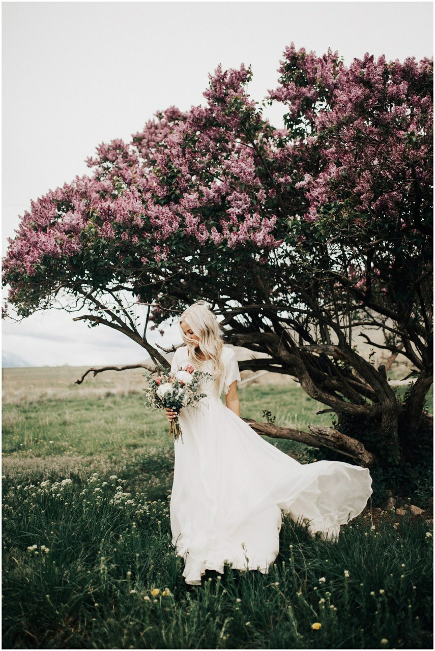nature, romance, model and wind