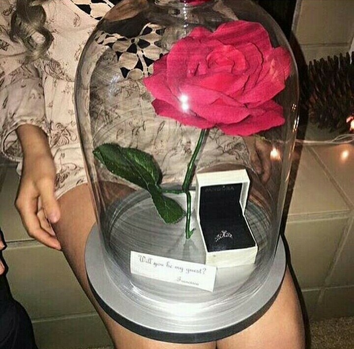 beauty, girl, boy and goals