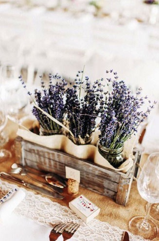 lavender, provence style and лаванда