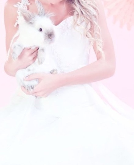 fashion, romantic and tulle