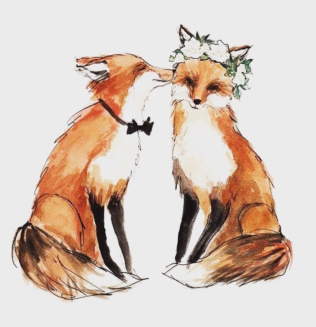 flowers, fantasy, groom and fox