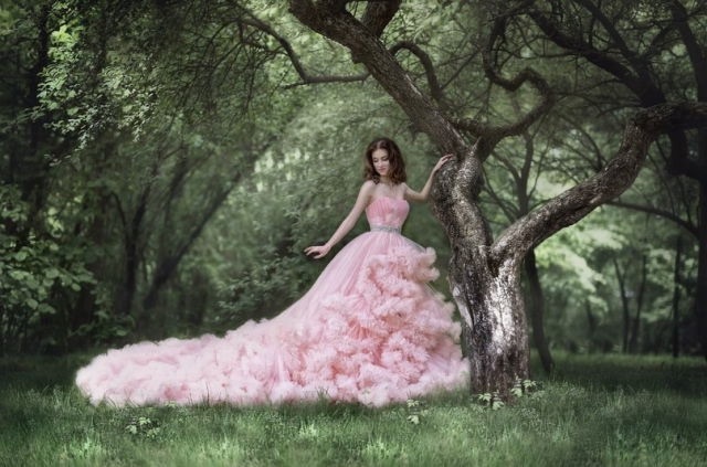 lace, tulle and fairytale