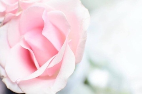 once upon a time, bridal and bouquet
