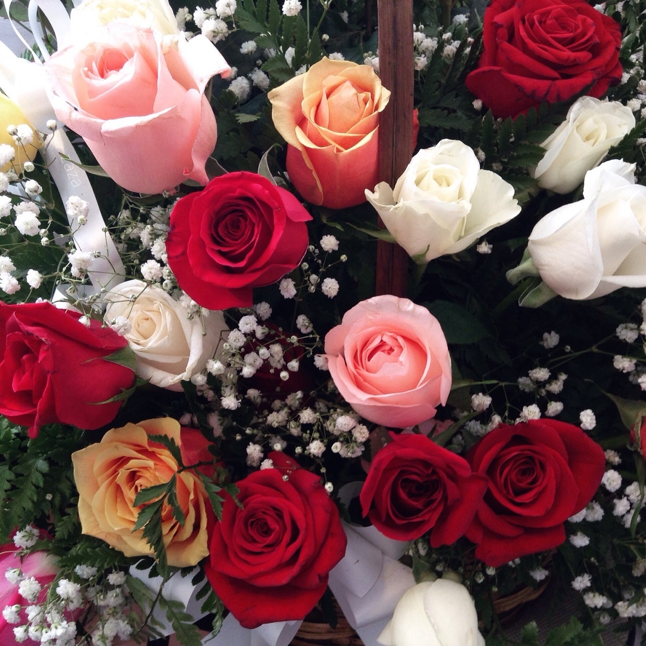 red, goals, roses and summer