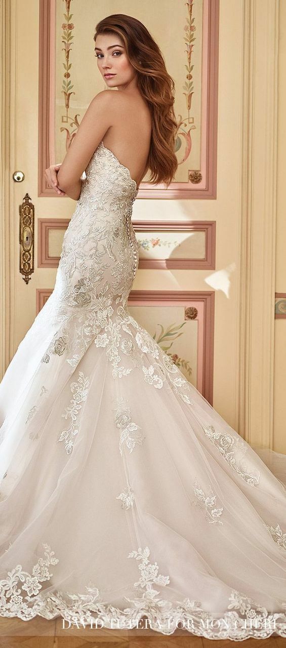 beautiful, gowns, glamour and lace