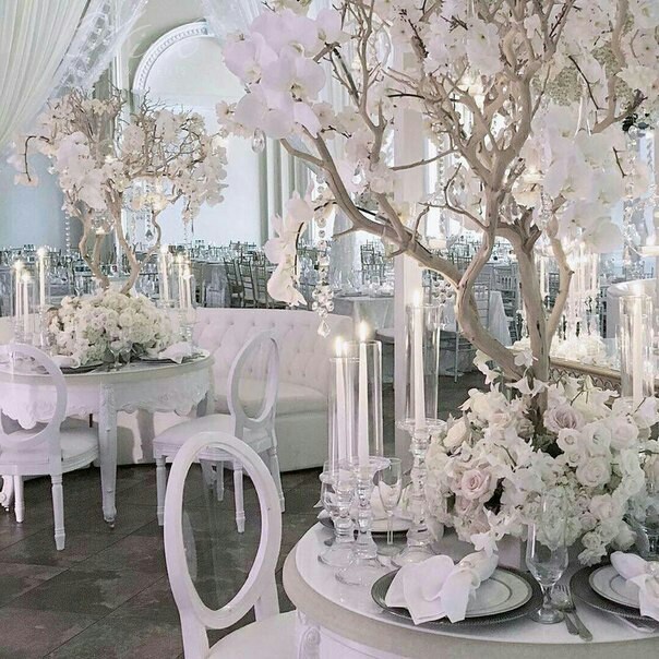 decoration, hall, white and gorgeous