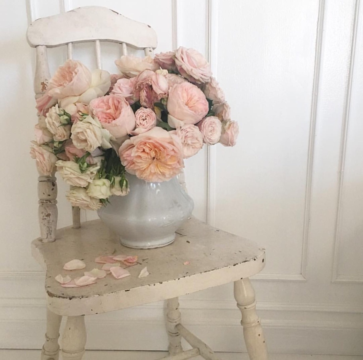 white, cream, french and ivory