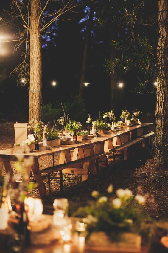 amazing, family, gathering and forest