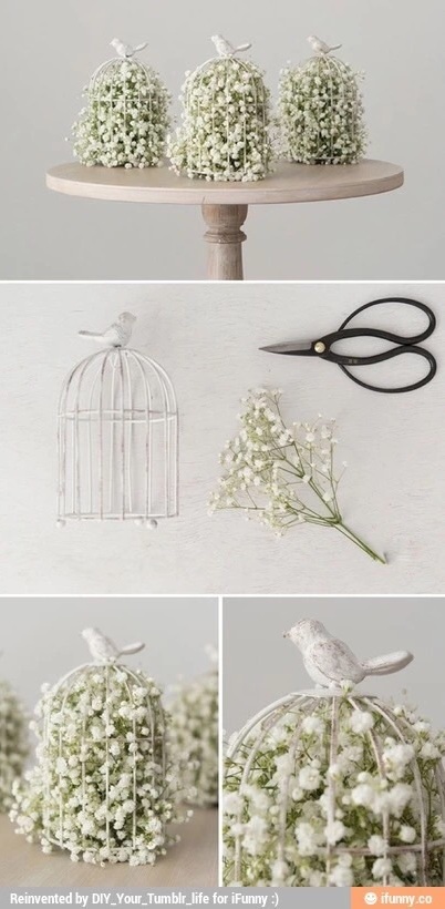 diy and en