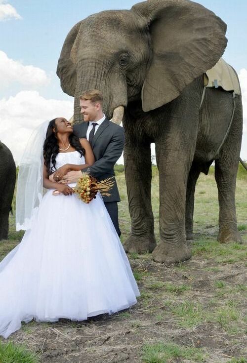 blackmenwhitewomen, blackwomenwhitemen, interraciallove and love