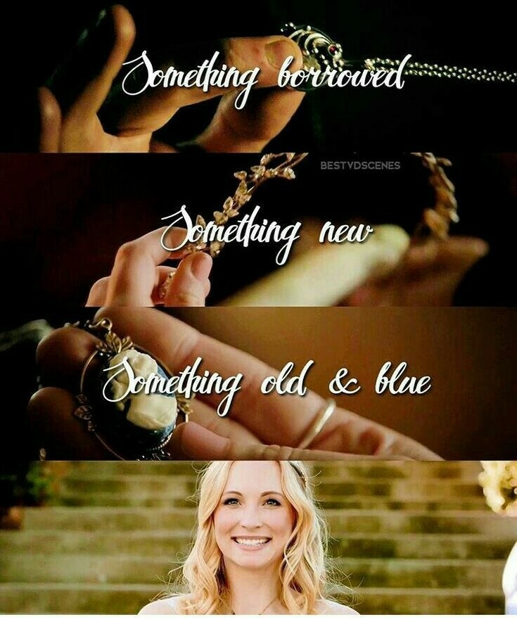 series, season 8, june wedding and the vampire diaries
