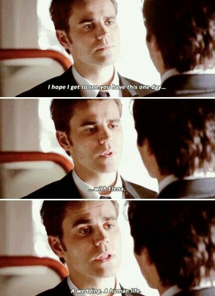salvatore brothers, stefan and damon