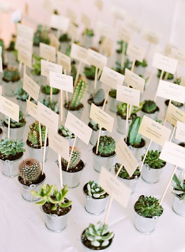 casamento, lembrancinhas, decoracao and suculentas
