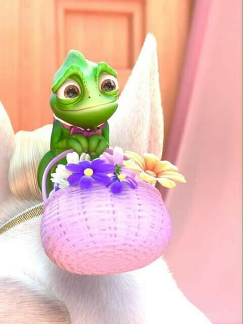 pascal, Maximus, Eugene and flowers