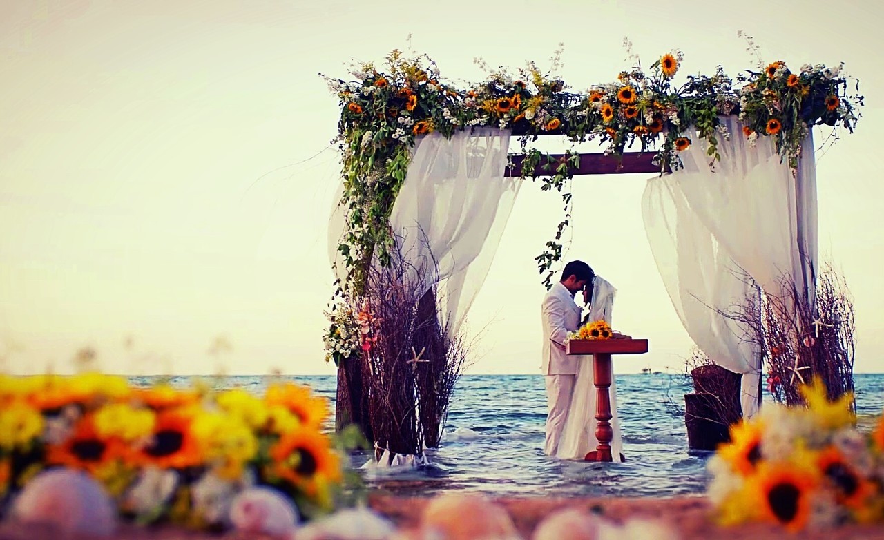 beach, water, flowers and kara sevda