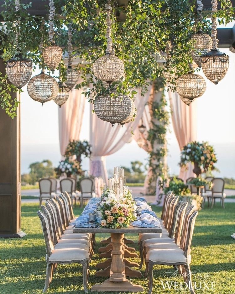 lights, idea, rose and decorated