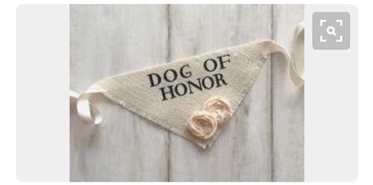dog of honor, wedding ideas and weddings