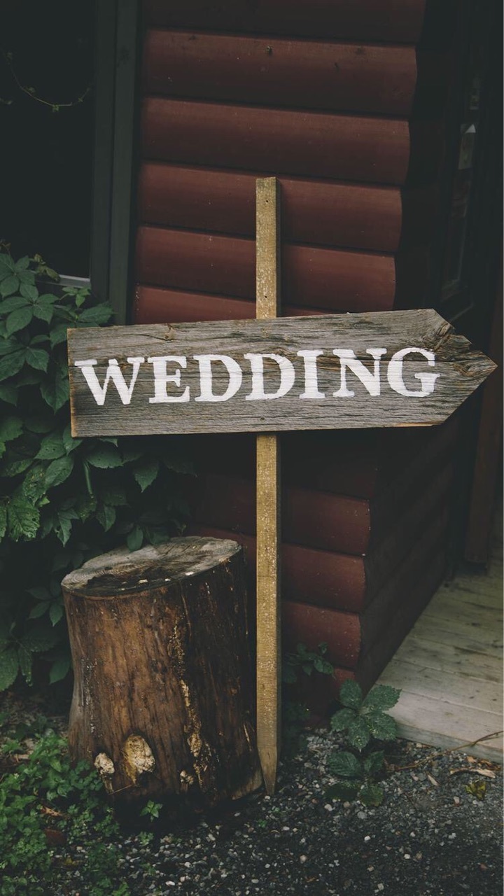 forest, marriage, wood and home
