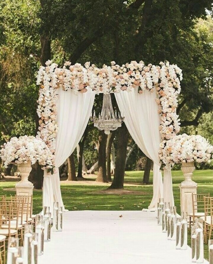 garden, white, flowers and concept