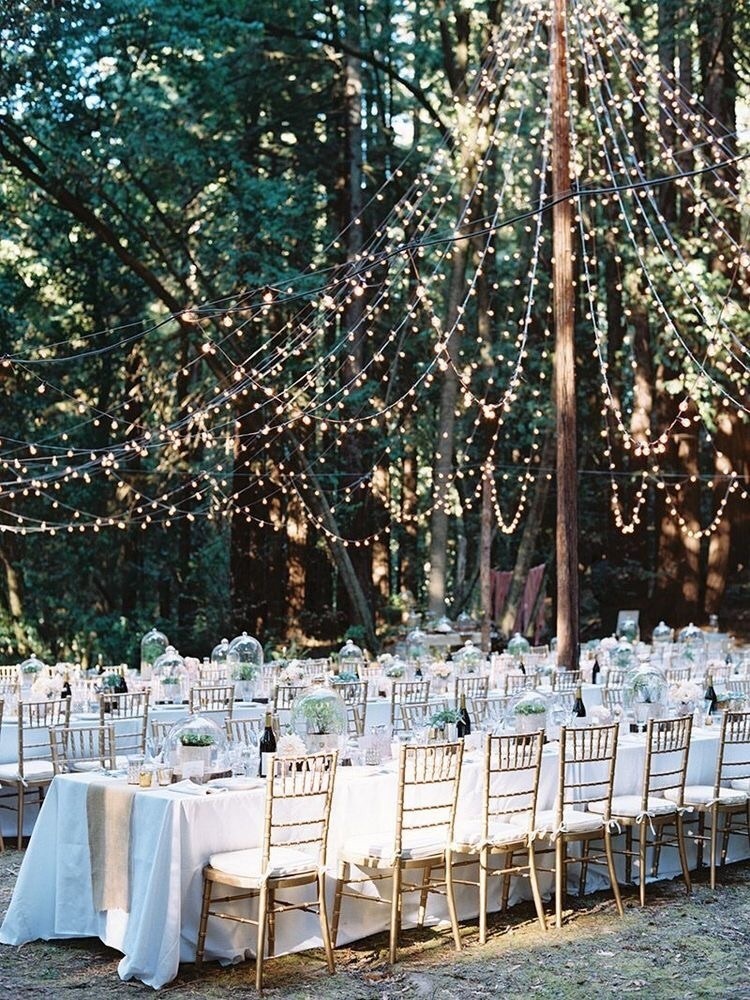 love, lights, bright and magic