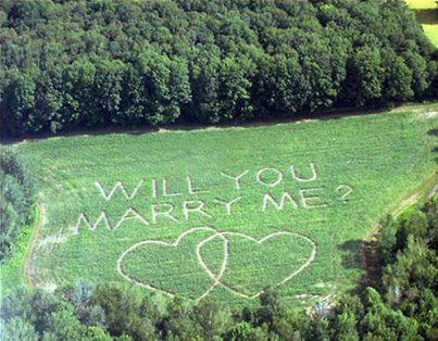 beautiful, cute and marriage proposal