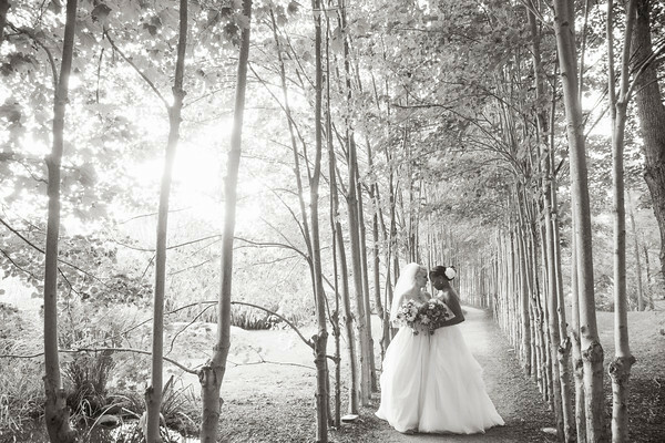 equal rights, wife and forest